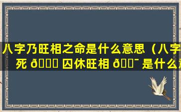 八字乃旺相之命是什么意思（八字死 🐞 囚休旺相 🐯 是什么意思）